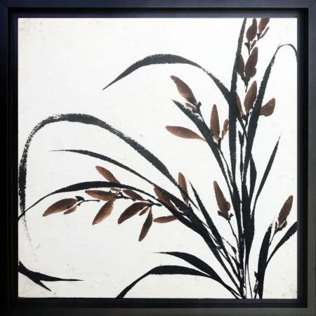 Orchid no. 1062