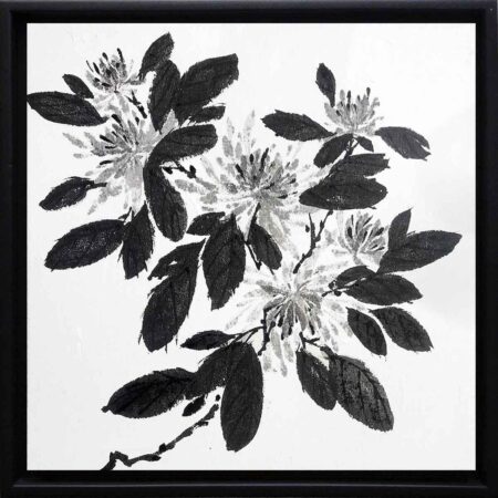 Chrysanthemum no. 1135