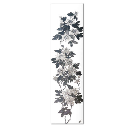 Chrysanthemum no. 1465