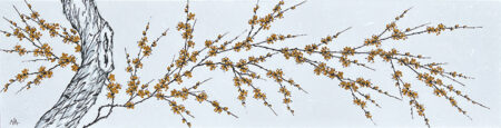 Yellow Plum Blossom no. 1477