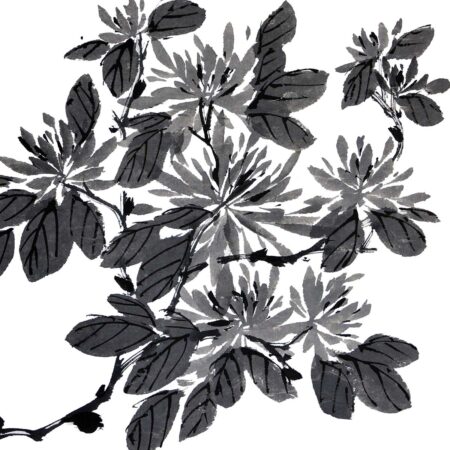 Black and White Chrysanthemum no.P19