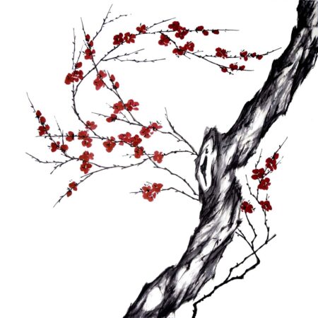 Plum Blossom no.546