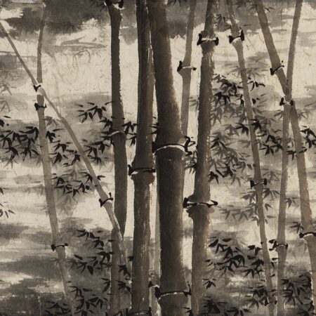 Misty Bamboo no.p9