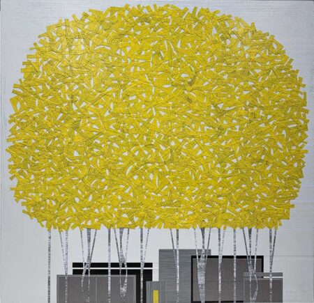 Yellow Maple no. 567
