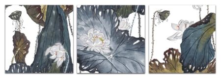 Lotus Field Print Set of 3