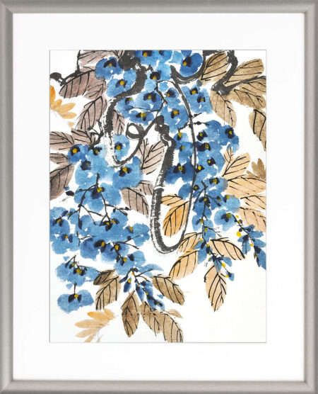 Wisteria no. s 50