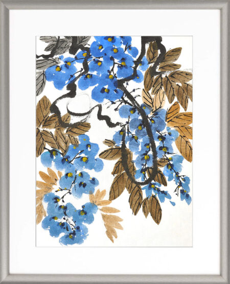 Wisteria no. s 51