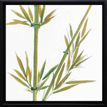 Bamboo no. 1135