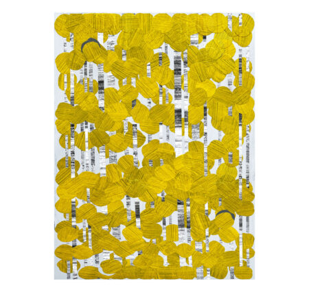 Yellow Aspen